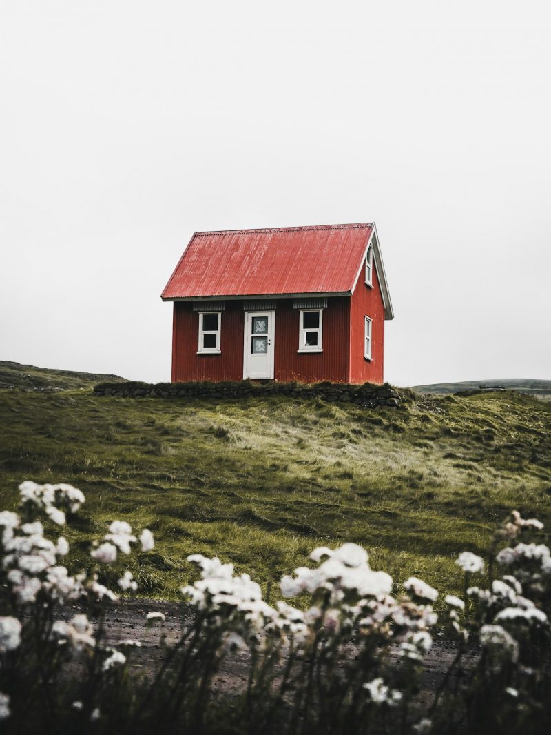 Pine Cabin